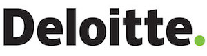 领航partner deloitte